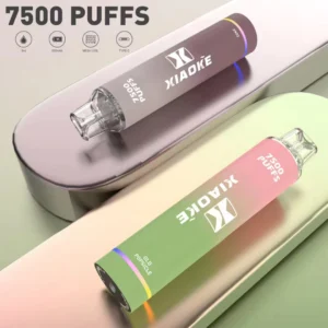XIAOKE梟客拋棄式🪄7500口可充電，25種口味：圖片 1